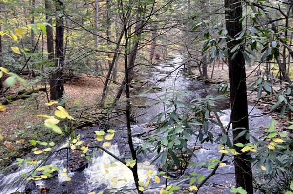 Upper Canyon and Little Bushkill Creek